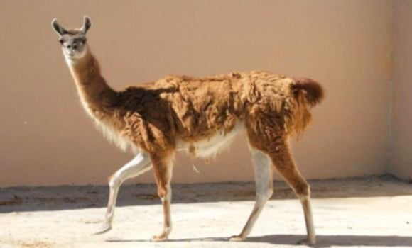 حديقة التجارب — صورة 7