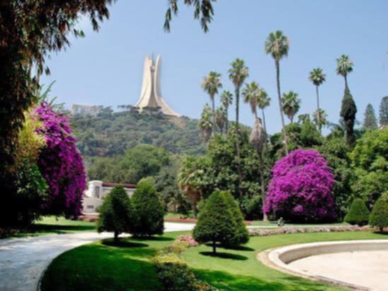 حديقة التجارب — صورة 8