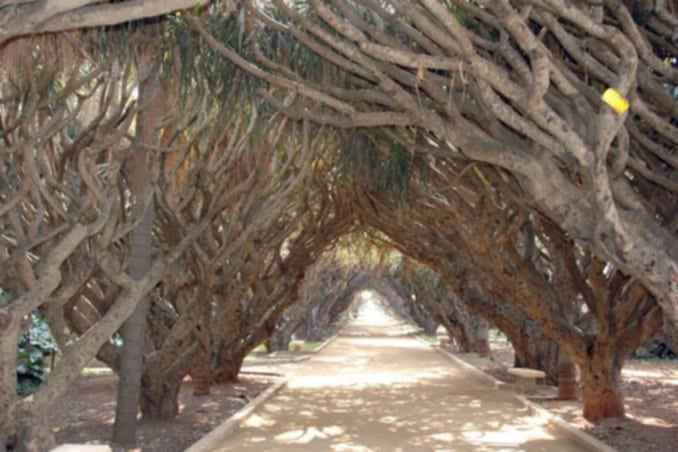 حديقة التجارب — صورة 4